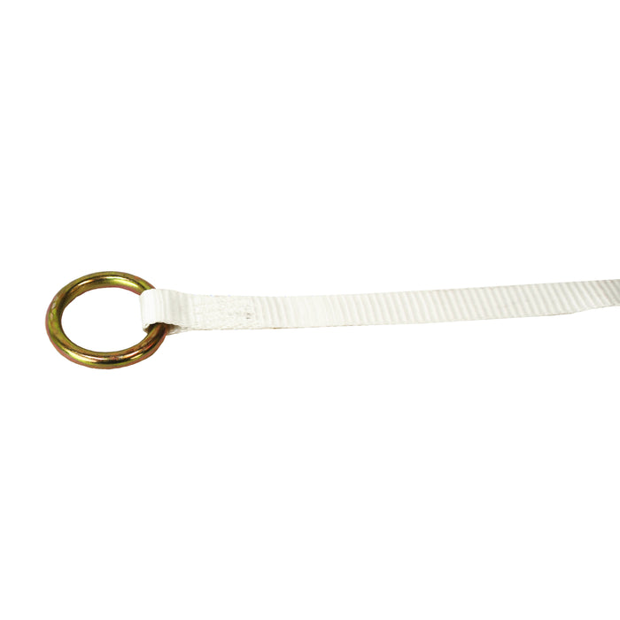 1" X 12' White Tent Wide Handle Ratchet Strap Strap w/ Forged Bull Nose Snap Hook & Round Ring | 3,300 Lbs. Breaking Strength